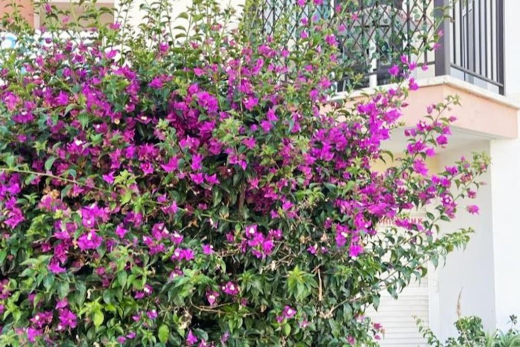 With A Luxurious Location Near The Sea Apartament Pafos