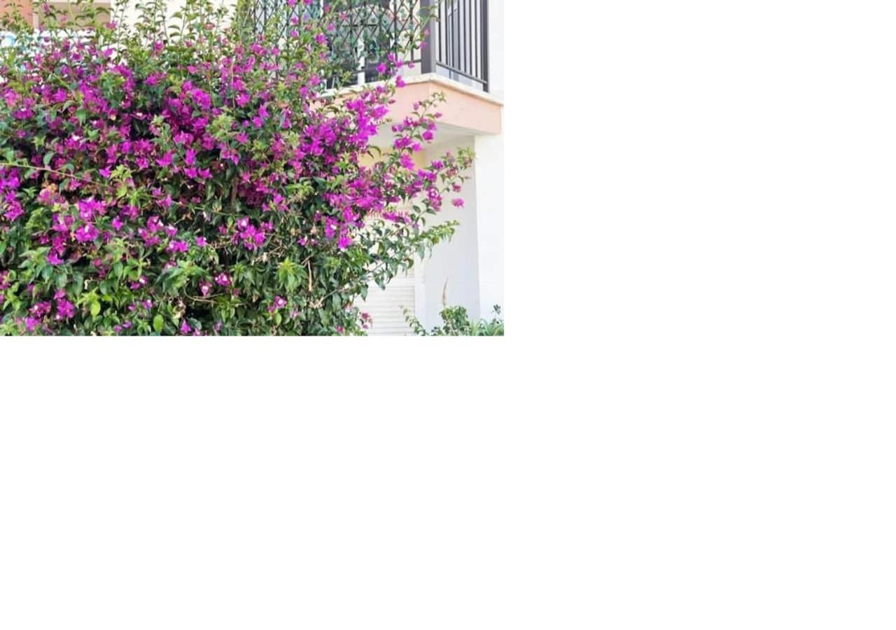 With A Luxurious Location Near The Sea Apartament Pafos